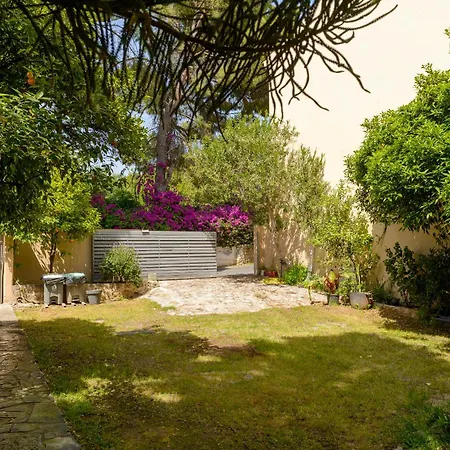 Agali 1 Mesonet In Front Of The Sea * Akrogiali