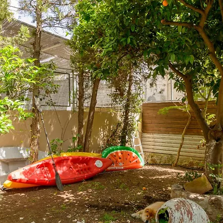 Agali 1 Mesonet In Front Of The Sea Appartement Akrogiali