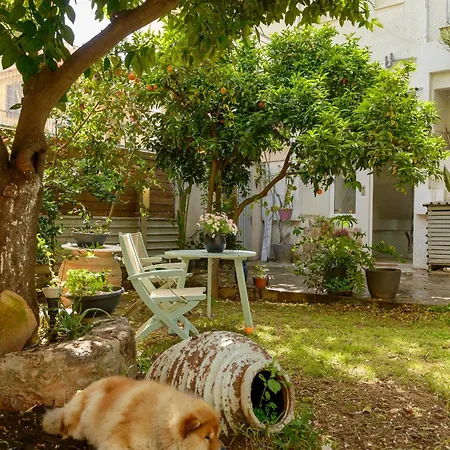 Agali 1 Mesonet In Front Of The Sea