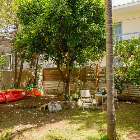 Agali 1 Mesonet In Front Of The Sea Akrojáli